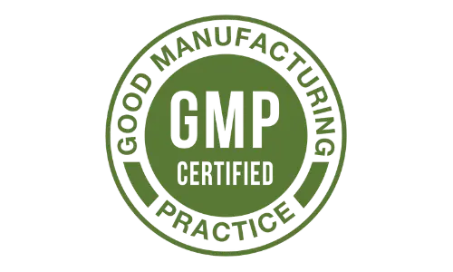  GMP